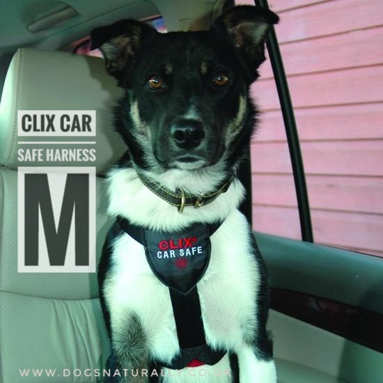 clix car safe dog harness