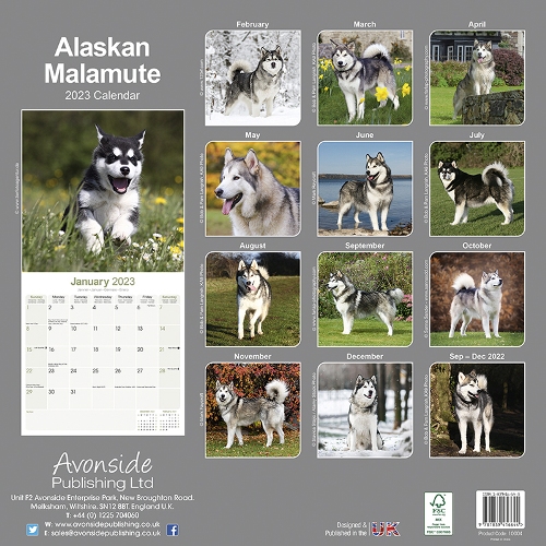 Una Fall 2023 Calendar Alaskan Malamute Calendar 2023 (Square) | Dogs Naturally