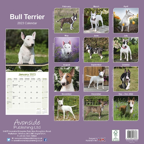 Una Fall 2023 Calendar English Bull Terrier Calendar 2023 (Square) | Dogs Naturally