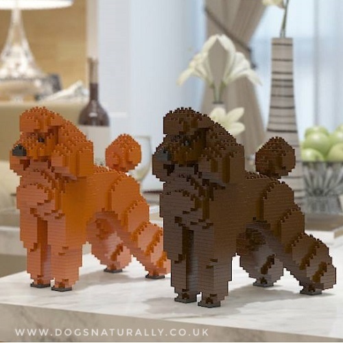 Poodle Jekca (Dog Lego) | Dogs Naturally