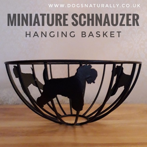 Schnauzer (Miniature) Luxury Gifts, Dog Lover Gifts