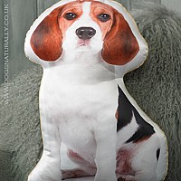 CHIEN BEAGLE EN BRIQUES JEKCA