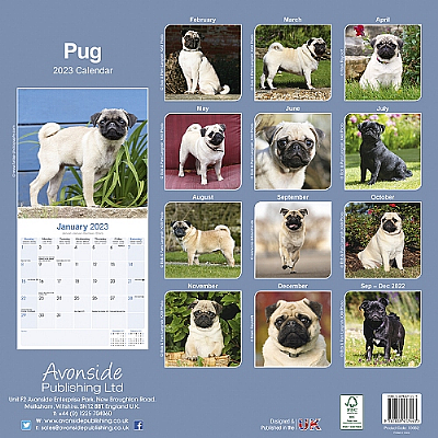 Pug Calendar 2023 (Square) | Dogs Naturally